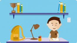 Vale a Pena Estudar para Concurso Público de Madrugada ?